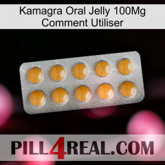 Kamagra Oral Jelly 100Mg How To Use levitra1